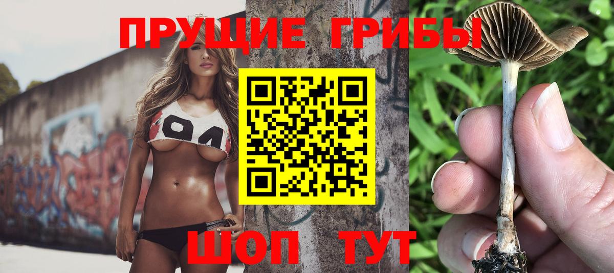 Вятские Поляны  Псилоцибиновые грибы Psilocybine cubensis  Вход с VPN 